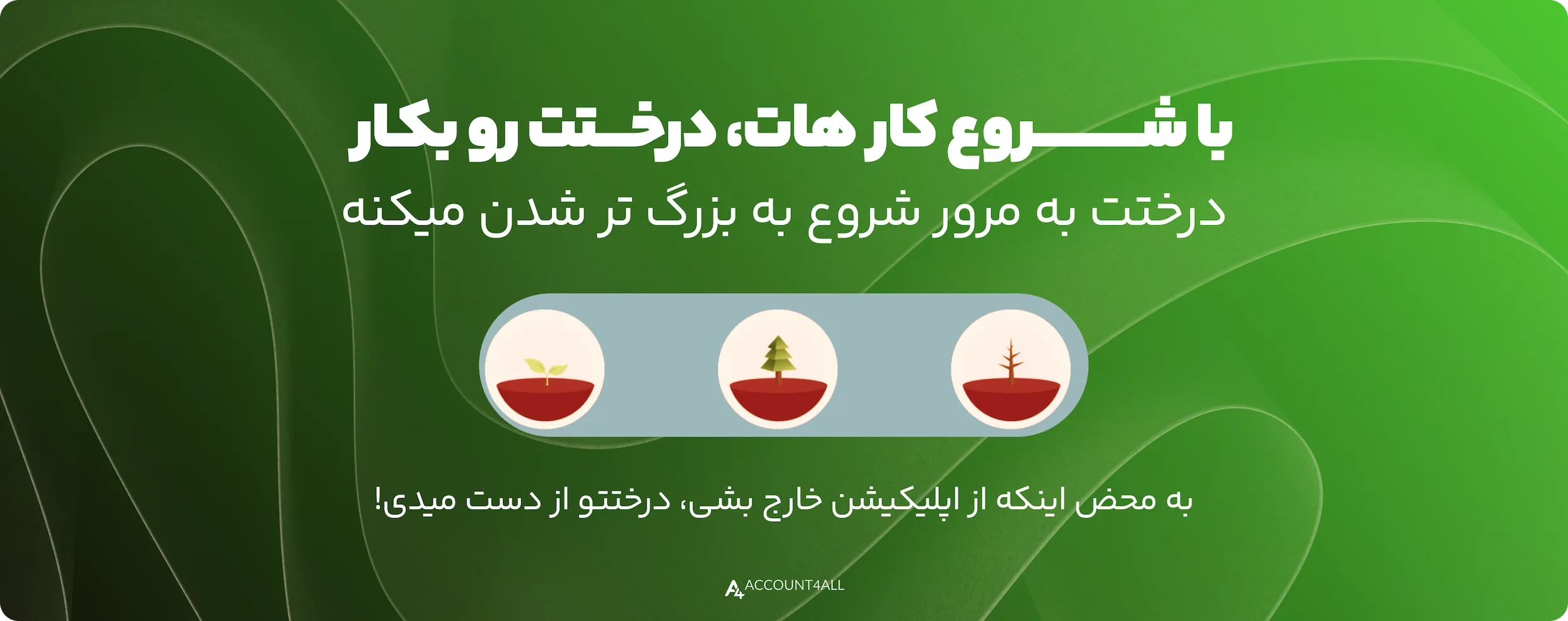خرید اکانت Forest Focus پریمیوم
