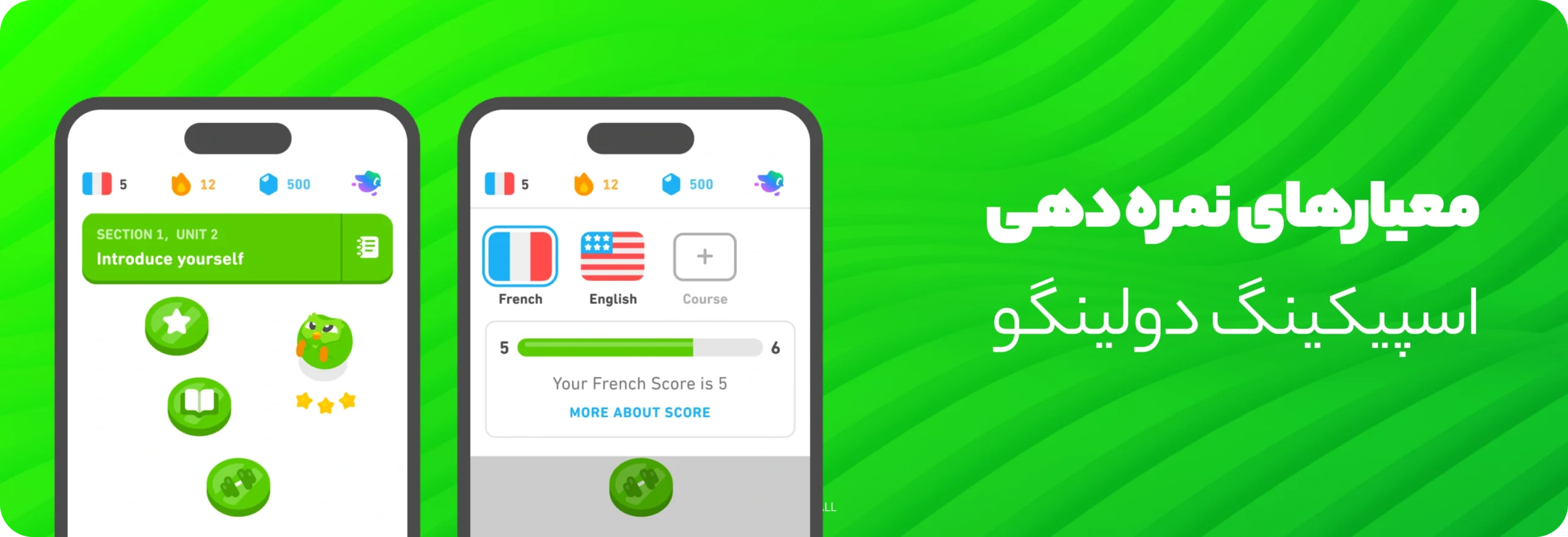 معیارهای نمرهدهی در اسپیکینگ دولینگو